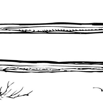 F0004 Thumbnail