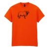 Heavy Cotton™ t-shirt Thumbnail