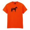 Heavy Cotton™ t-shirt Thumbnail