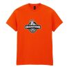 Heavy Cotton™ t-shirt Thumbnail