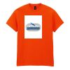 Heavy Cotton™ t-shirt Thumbnail