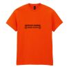 Heavy Cotton™ t-shirt Thumbnail